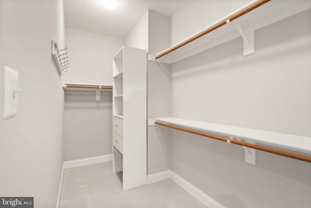 view of walk in closet