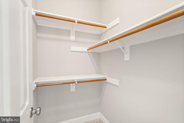 view of walk in closet