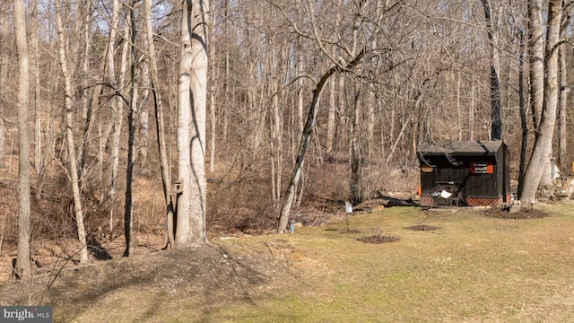 view of yard with a forest view and an outbuilding