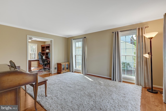 home office with ornamental molding, light wood finished floors, and plenty of natural light