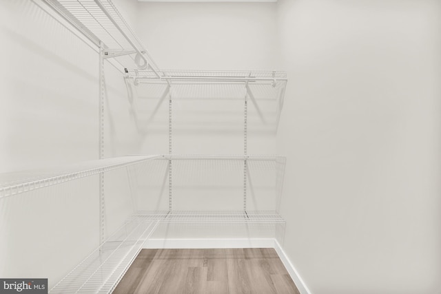 walk in closet with wood finished floors