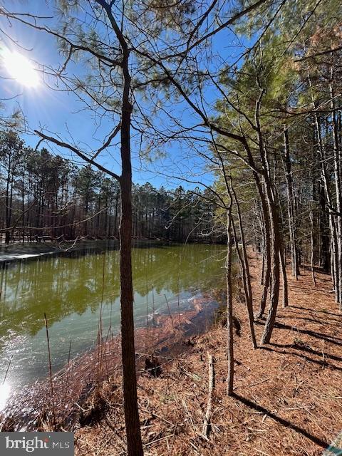 0 Laurie Ln, Woolford, MD 21677