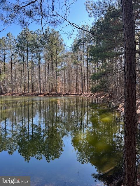 0 Laurie Ln, Woolford, MD 21677
