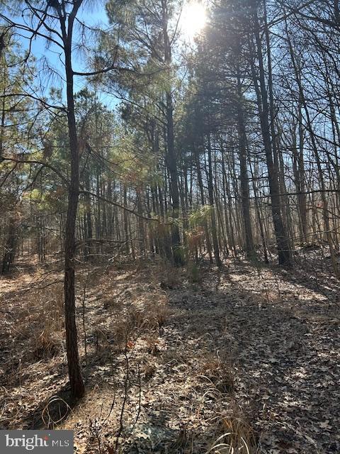 0 Laurie Ln, Woolford, MD 21677