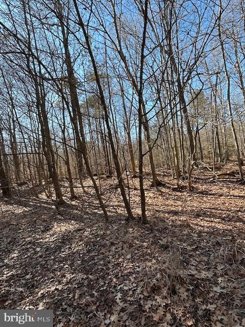 0 Laurie Ln, Woolford, MD 21677