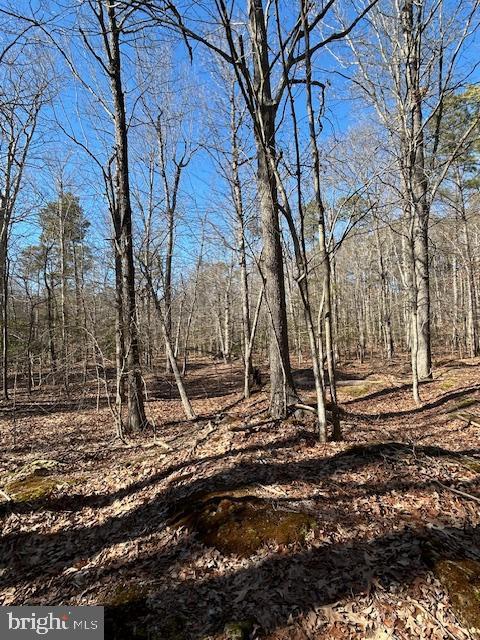 0 Laurie Ln, Woolford, MD 21677
