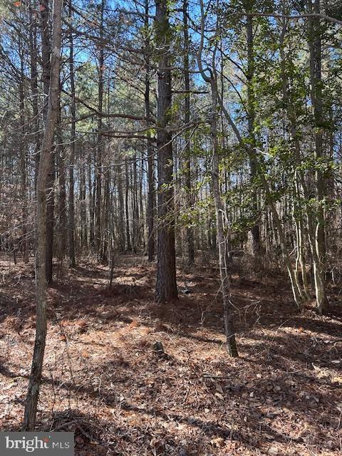 0 Laurie Ln, Woolford, MD 21677