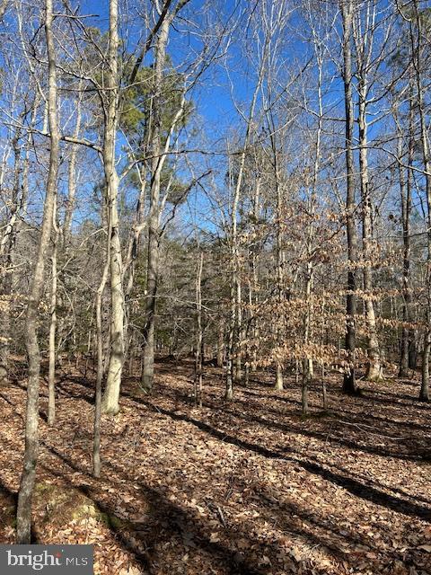 0 Laurie Ln, Woolford, MD 21677