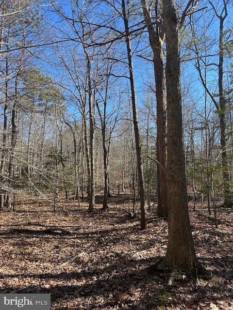 0 Laurie Ln, Woolford, MD 21677