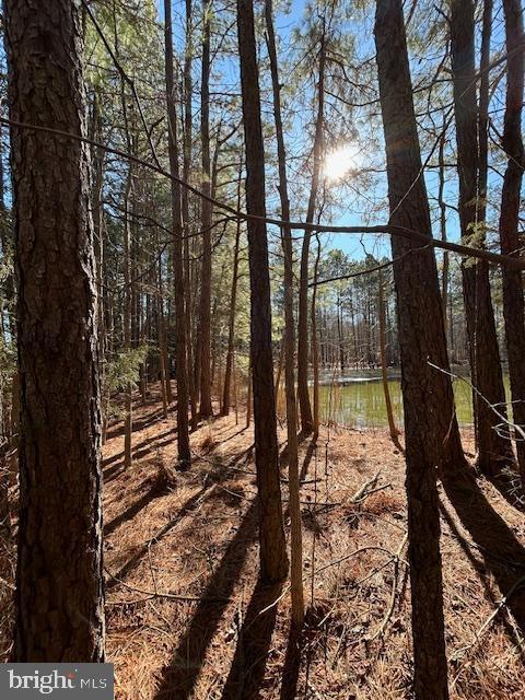 0 Laurie Ln, Woolford, MD 21677