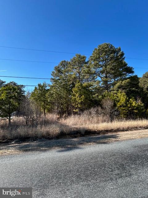 0 Laurie Ln, Woolford, MD 21677