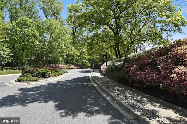 view of street featuring sidewalks and curbs