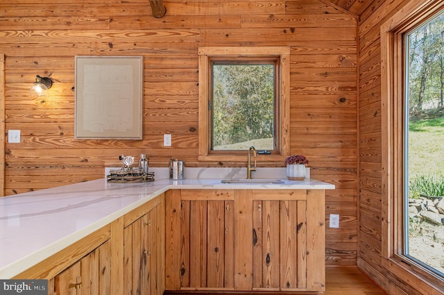 kitchen featuring wood finished floors, a sink, and a wealth of natural light