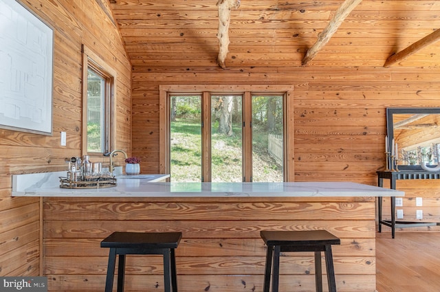 interior space with lofted ceiling, wood walls, wood finished floors, a sink, and wood ceiling