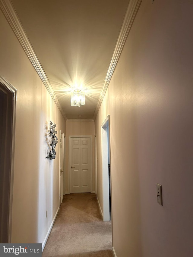 hall with a chandelier, ornamental molding, carpet flooring, and baseboards