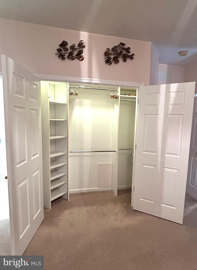 view of closet