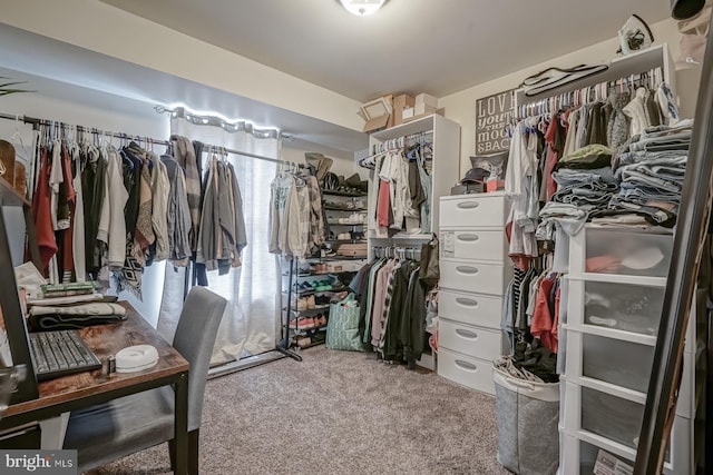 spacious closet featuring carpet floors