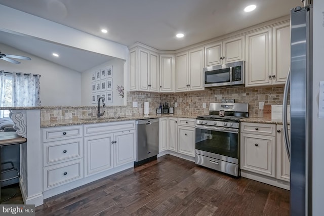 kitchen with a peninsula, a sink, a ceiling fan, appliances with stainless steel finishes, and dark wood-style floors