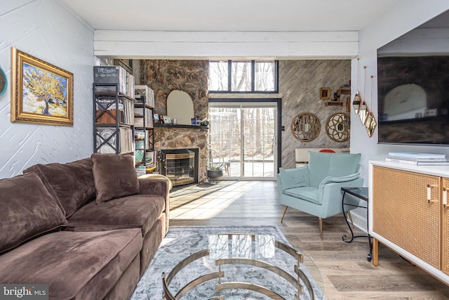 living room with a fireplace and wood finished floors