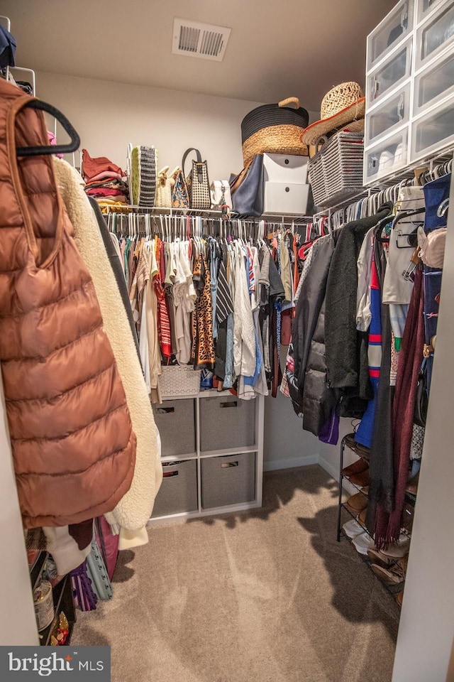 walk in closet featuring visible vents and carpet floors