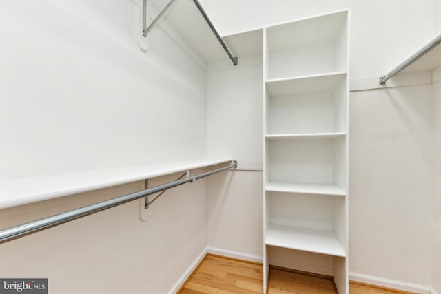 walk in closet featuring wood finished floors