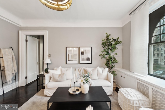 living area featuring wood finished floors