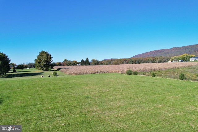 view of yard featuring a mountain view and a rural view