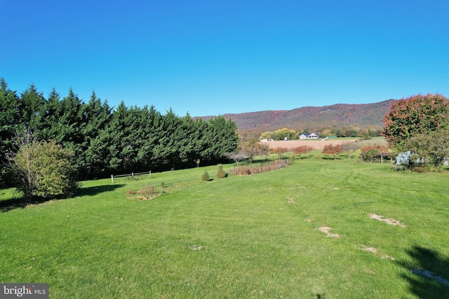 view of yard with a mountain view and a rural view