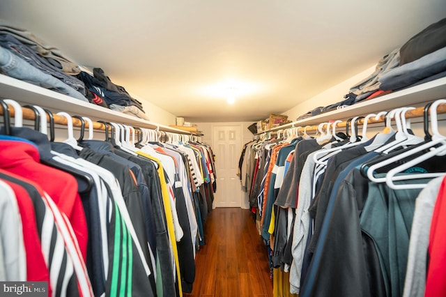 spacious closet featuring dark wood-style flooring