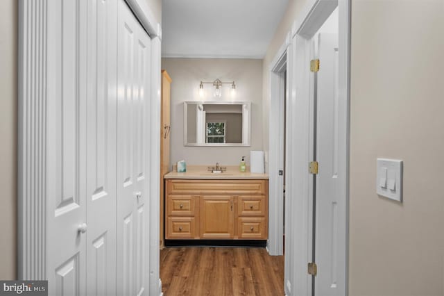 bathroom featuring a closet, wood finished floors, and vanity