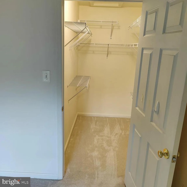 walk in closet with light colored carpet
