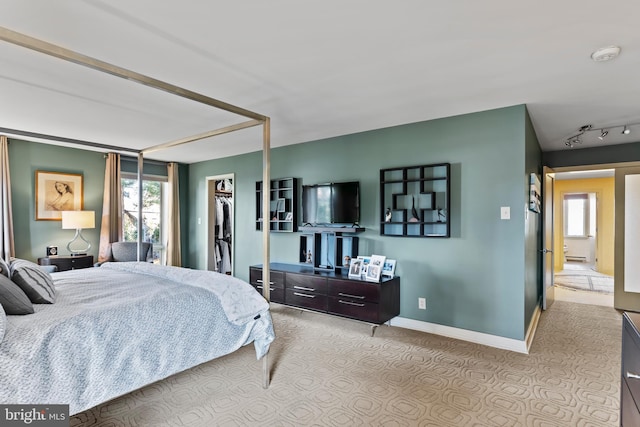 bedroom with rail lighting, multiple windows, baseboards, and a closet