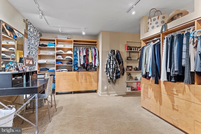 view of spacious closet