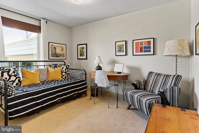 sitting room with carpet floors