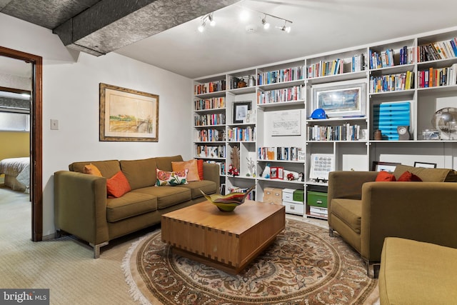 living area featuring carpet floors and rail lighting