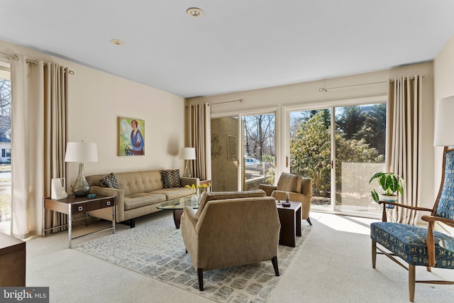 living area with carpet flooring