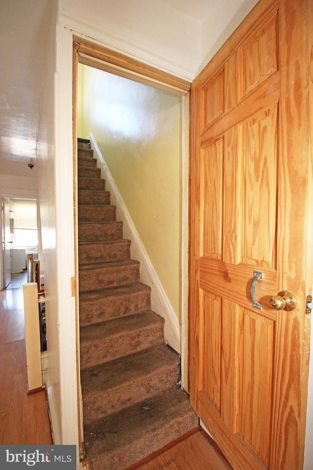 stairway featuring wood finished floors