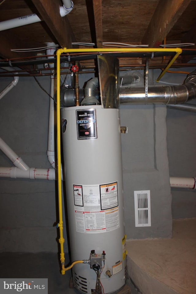 utility room featuring gas water heater and visible vents