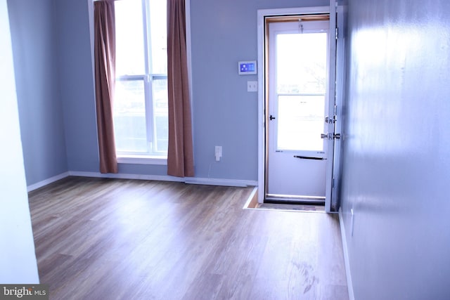 doorway to outside featuring wood finished floors, a wealth of natural light, and baseboards