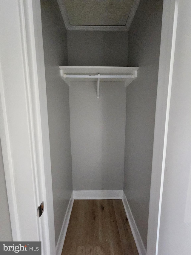 view of closet