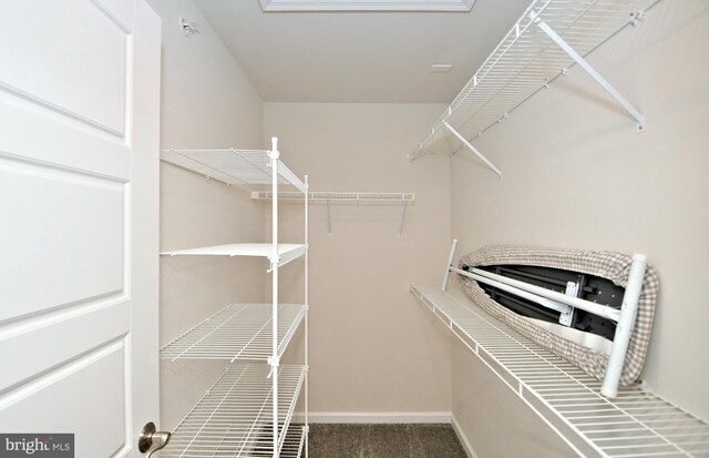 spacious closet with carpet floors