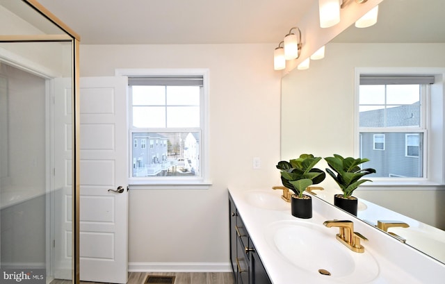 full bathroom featuring a sink, baseboards, wood finished floors, and double vanity