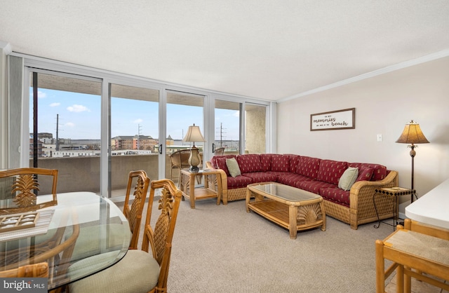 living area featuring ornamental molding and carpet flooring