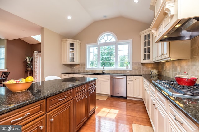 kitchen with range hood, light wood finished floors, a sink, vaulted ceiling, and appliances with stainless steel finishes