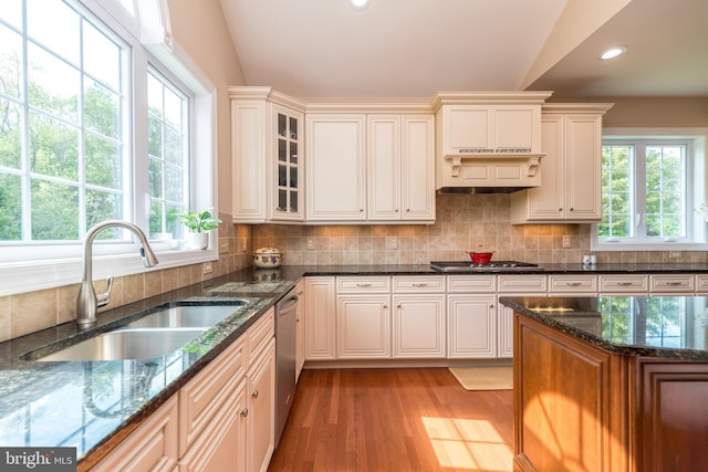 kitchen with backsplash, stainless steel appliances, light wood-style floors, and a sink