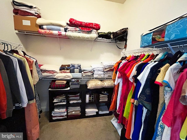 walk in closet featuring carpet