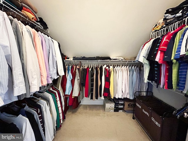 spacious closet featuring carpet