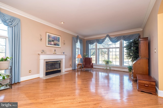 unfurnished living room featuring crown molding, light wood-type flooring, baseboards, and a premium fireplace