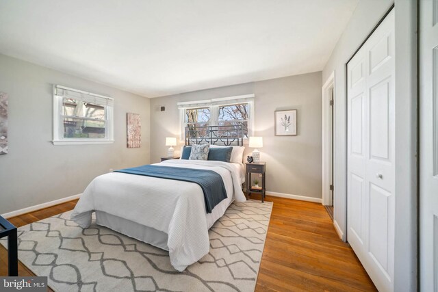 bedroom with a closet, multiple windows, wood finished floors, and baseboards