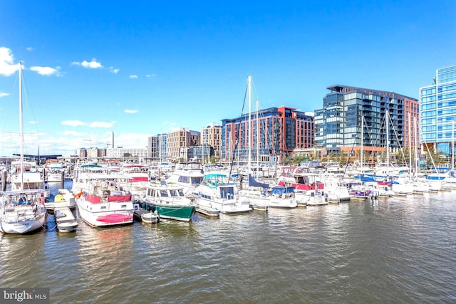 dock area featuring a water view and a city view